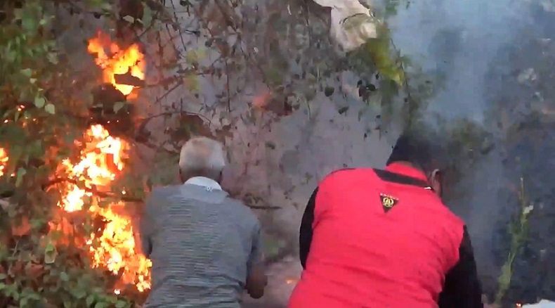 Hutan Jati Perhutani di Situbondo Terbakar, Warga Padamkan Api Pakai Alat Seadanya