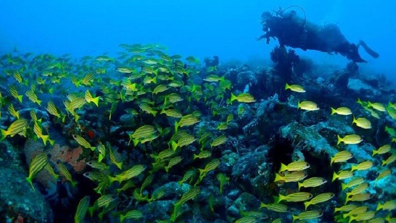 Likupang Ingin Dijadikan Destinasi Wisata Kedua Setelah Bali