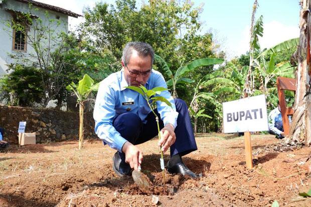  Mulai Bawang Merah Glowing hingga Tembakau Dikembangkan di Selopamioro