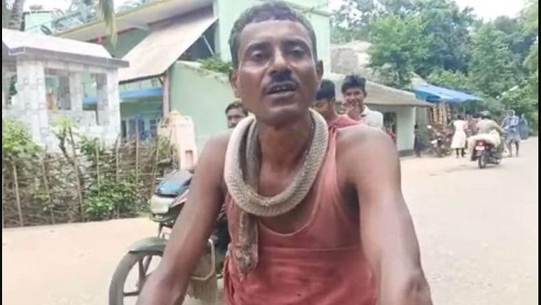 Jengkel Dipatuk Kobra, Pria Ini Gigit Balik Ular hingga Mati