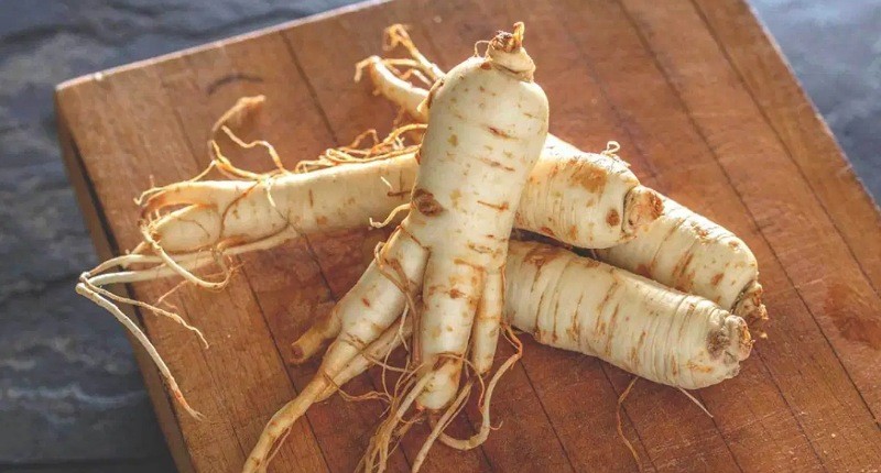 Mengenal Asal Usul Ginseng sebagai Obat Mujarab, Ternyata Pertama Kali Ditemukan di Pantai  