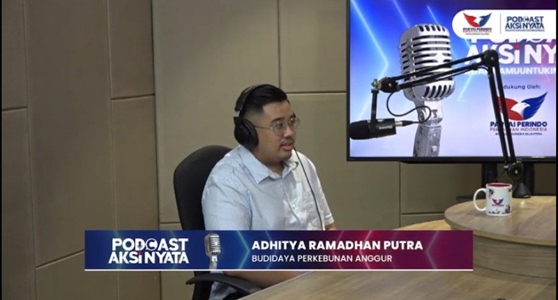 Tertarik Ingin Budidaya Anggur? Ini Cara agar Hasilkan Kualitas Terbaik!