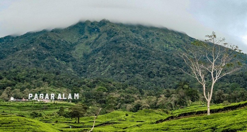 Tren Pariwisata Akan Bergeser, Pelaku Parekraf Harus Perhatikan Hal Penting Ini