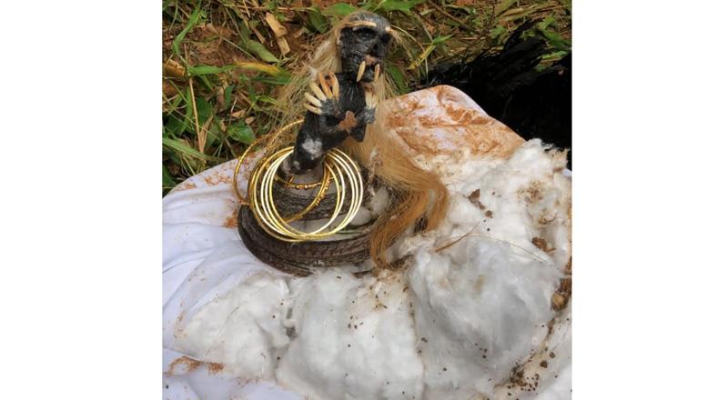  Serem, Penampakan Jenglot Gegerkan Warga Desa Pasarean Bogor