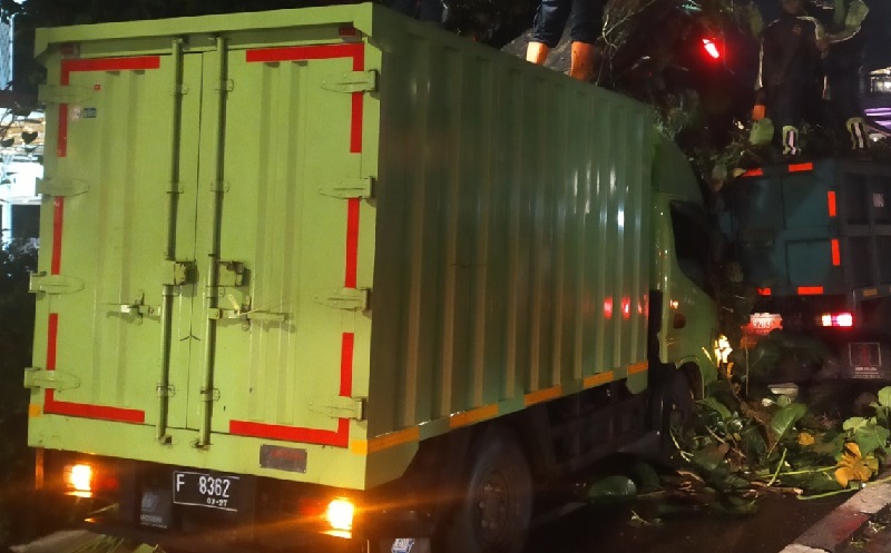Tak Ada Angin Tak Ada Hujan, Pohon Tumbang Timpa Truk Ekspedisi di Jalan Pajajaran Bogor