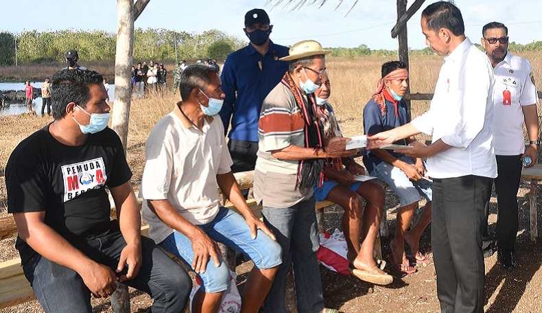 Peternak Bertemu Jokowi di Pulau Moa, Curhat Jumlah Kerbau Kurang akibat Kekeringan