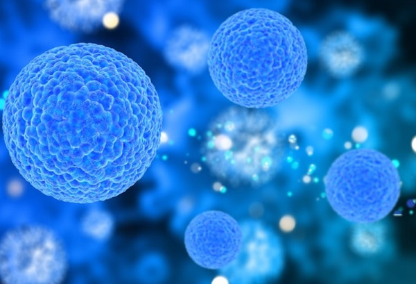 Struktur Sel Prokariotik dan Eukariotik, Lengkap dengan Pengertiannya