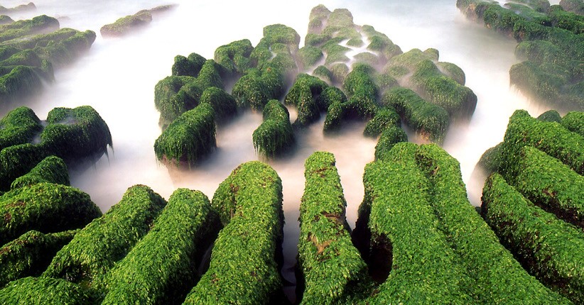 Mau Liburan ke Taiwan? Intip 7 Destinasi Wisata yang Seru Buat Dikunjungi