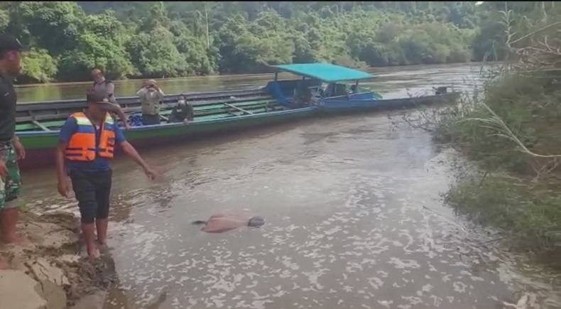 Awak Kapal Pengangkut BBM yang Karam di Sungai Mahakam Ditemukan, Korban Meninggal Dunia