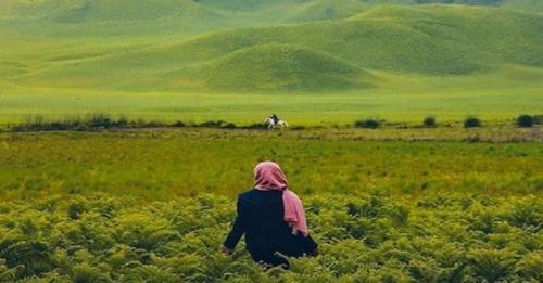 Begini Pesona Bukit Teletubbies dan Savanna Bromo sebelum Terbakar karena Pemotretan Pre-wedding