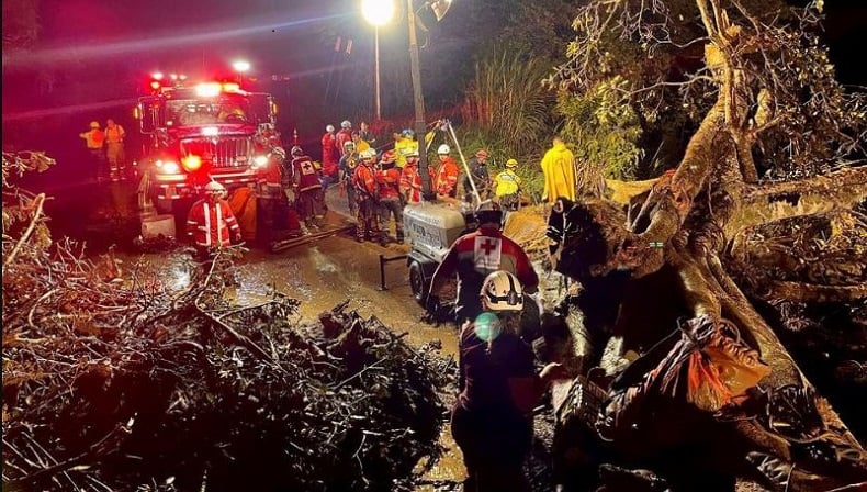Bus Terjun dari Tebing 75 Meter, 9 Penumpang Tewas