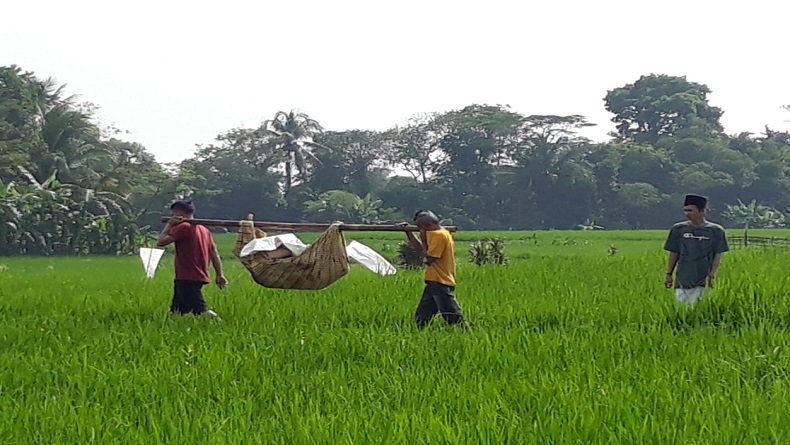 Cianjur Geger, Mayat Perempuan Ditemukan di Sawah dengan Kondisi Kulit Terkelupas