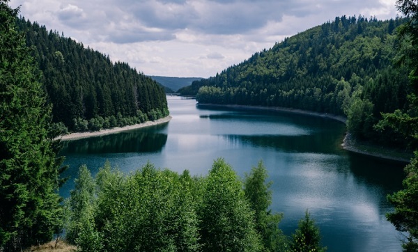 Ilmu yang Mempelajari Klasifikasi Makhluk Hidup Disebut Apa? Ini Penjelasan, Tingkatan dan Manfaatnya