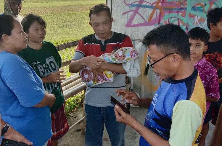 Bantul Geger, Bayi Perempuan Dibuang di Pematang Sawah