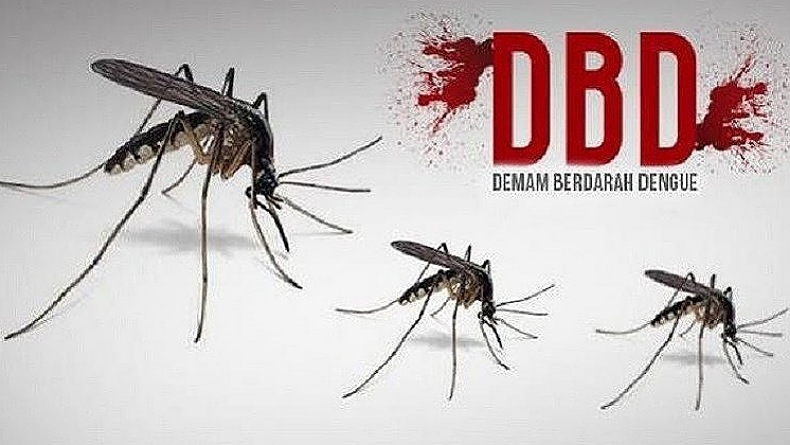 Awas, Kasus DBD di Sleman Melonjak Jadi 236 Kasus
