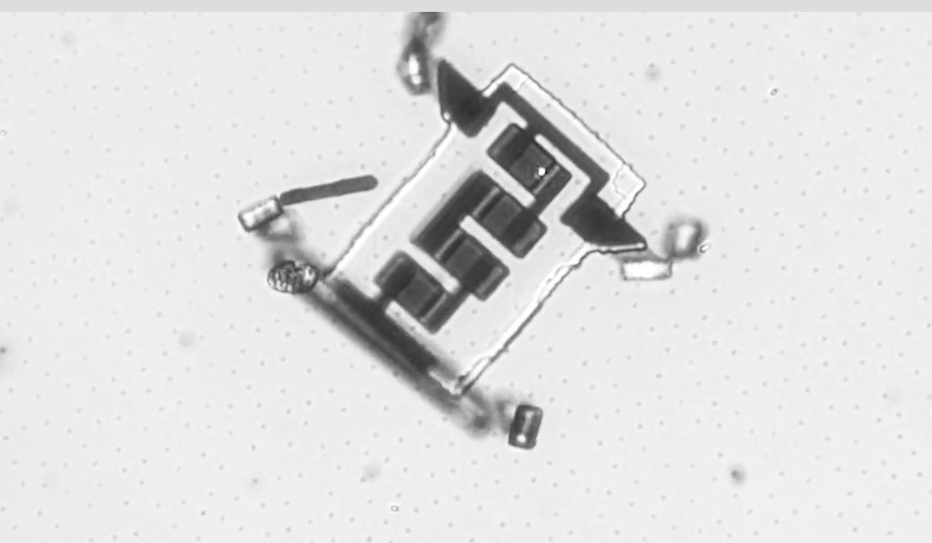 Ilmuan Ini Ciptakan Robot Super Kecil Bisa Masuk Pembuluh Darah Manusia