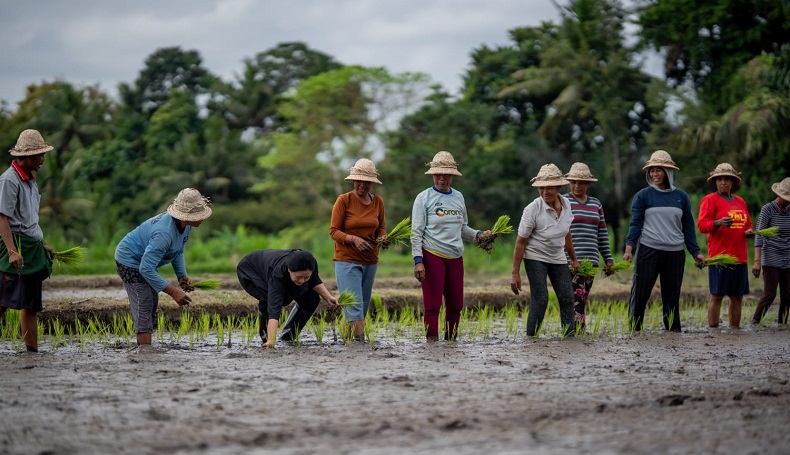 Tanam Padi Bareng Petani, Puan : Namanya Nanam di Sawah Pasti Kotor