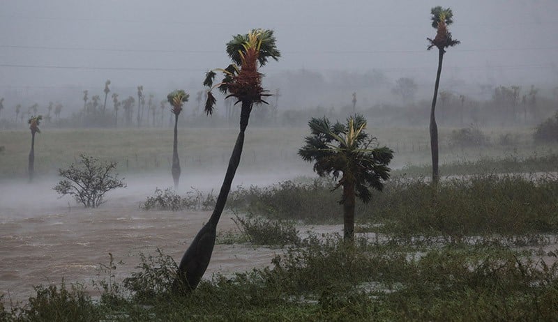 Badai Topan di India, Sekolah hingga Bandara Ditutup Sementara