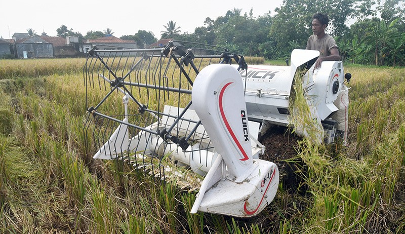 BPS: Produksi Beras 2022 Capai 32,07 Juta Ton  