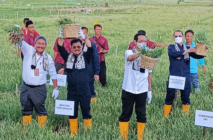 Panen Bawang Merah di Kulonprogo, Menteri Pertanian: Produktivitas Harus Dijaga