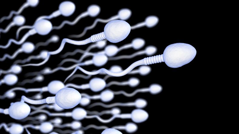 5 Cara Membedakan Sperma Subur dan Tidak, Lihat dari Warna hingga Kekentalan