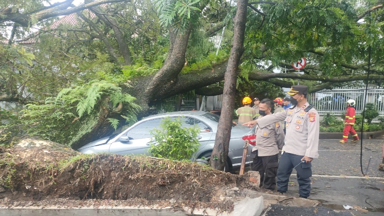 Sejak Juli hingga September 2022, Ratusan Pohon di Kota Bandung Tumbang dan Patah
