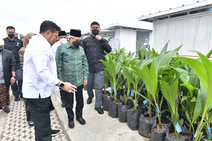 Wapres Sebut Pentingnya Inovasi Pertanian dalam Hadapi Krisis Pangan