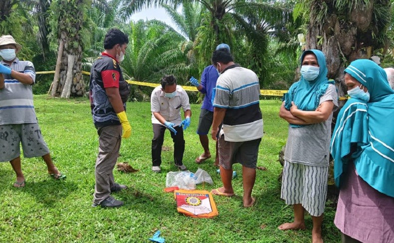 Diduga Sakit, Pria Paruh Baya di Bengkulu Tewas Membusuk dalam Pondok Kebun Sawit