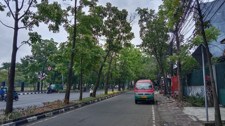 Hujan Terus Mengguyur Kota Bandung, Pengendara Diminta Jauhi Pohon