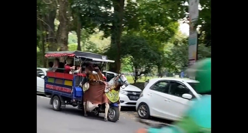 Viral Delman Robot di Bandung, Lengkap dengan Tali Pengendalinya!