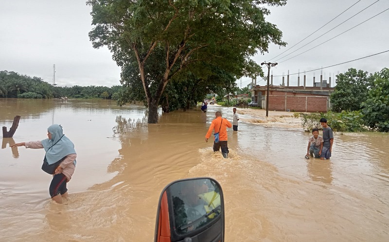 Banjir Aceh Timur, BNPB: 2.436 Orang Mengungsi