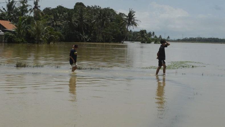 Sungai Meluap akibat Hujan Deras, Ratusan Rumah di Cilacap Terendam Banjir