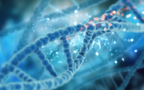 Cabang Ilmu Biologi yang Mempelajari tentang Penurunan Sifat Disebut Genetika, Ini Penjelasannya