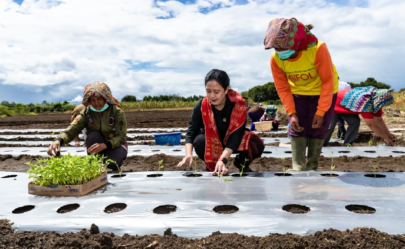 Ketua DPR Sebut Petani-Nelayan Berkontribusi bagi Pembangunan Ekonomi: Kehidupannya Layak Ditingkatkan