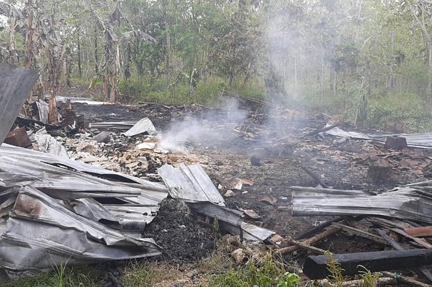 Tungku Penghangat Rusak, Ribuan Ayam Milik Warga Gunungkidul Terbakar Hidup-Hidup