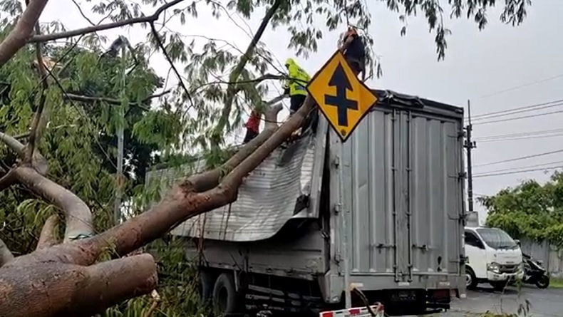 Hujan Deras Disertai Angin Kencang di Mojokerto, Truk Rusak Parah Tertimpa Pohon Petai