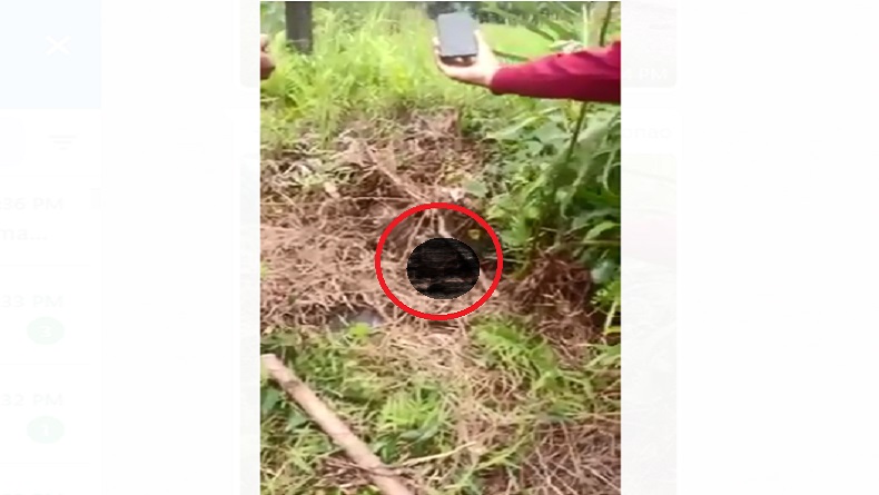 Heboh, Penemuan Mayat Misterius di Semak-Semak, Kepala Sudah Jadi Tengkorak
