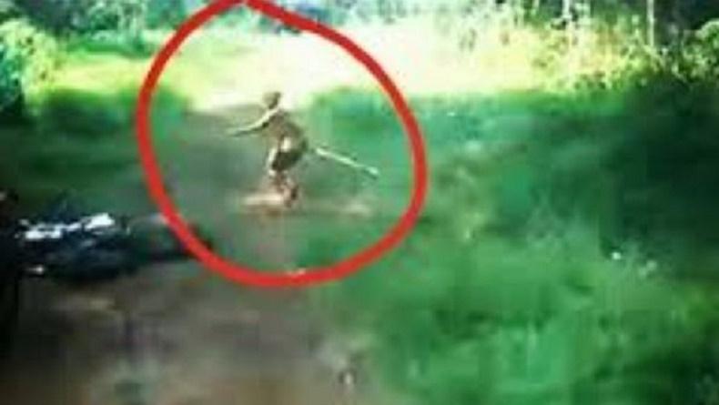 Misteri Suku Mante di Aceh, Suku Manusia Kerdil dan Asal Usulnya