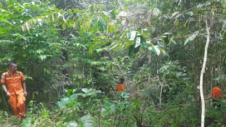 Sepekan Tanpa Hasil, Pencarian Kakek Hilang dalam Kebun di Tomohon Dihentikan