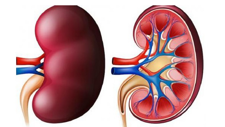 Kemenkes Pastikan Tak Ada Lagi Kasus Baru Gagal Ginjal Akut