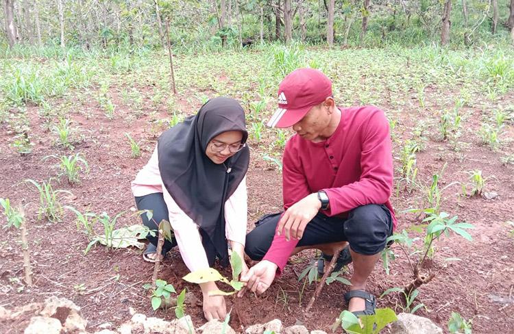 Mengenal Pernikahan Kromojati di Gunungkidul, Sepasang Pengantin Wajib Tanam Pohon Jati