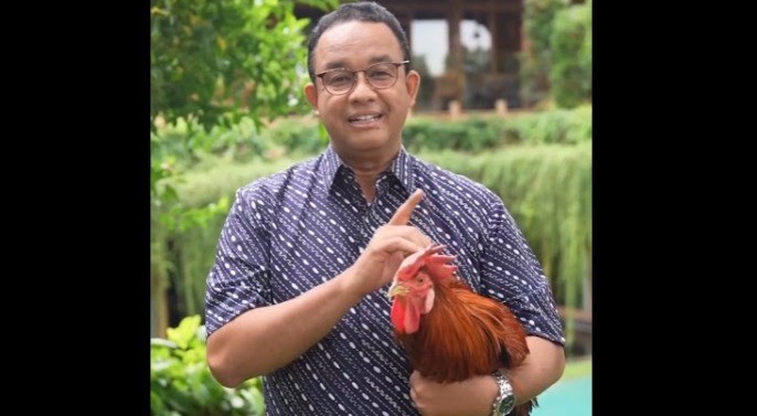Tak Lagi jadi Gubenur, Anies Pamer Kegiatan Rawat  Ayam Jago di Rumah