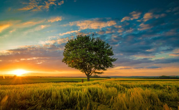 Bagaimana Cara Mengenal Allah Melalui Alam Semesta? Ini Dalilnya