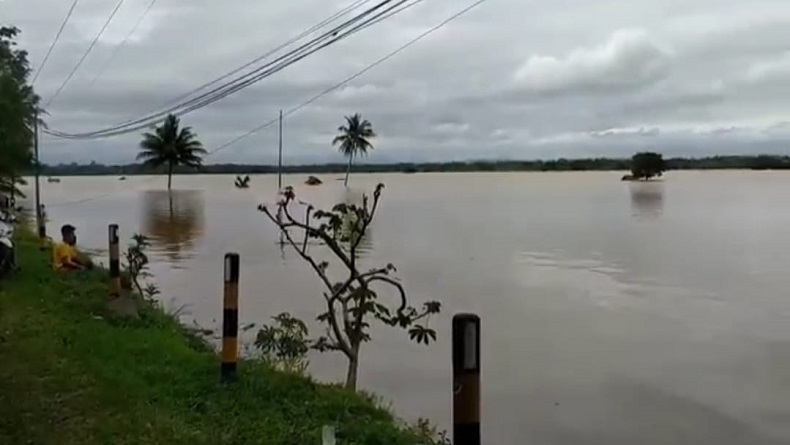 Banjir Masih Rendam Ratusan Haktare Sawah, Petani Pangandaran Terancam Gagal Panen