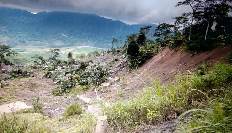 Tanah Gerak di Banjarnegara Meluas, Ribuan Tanaman Salak Rusak dan Tak Bisa Dipanen