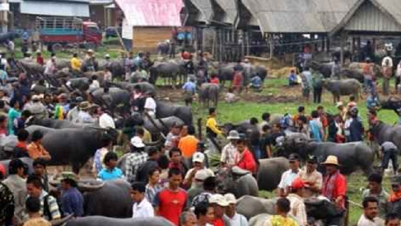 7 Pasar Tradisional Unik di Indonesia, Nomor 5 Transaksi Tanpa Bicara hanya Gunakan Jari