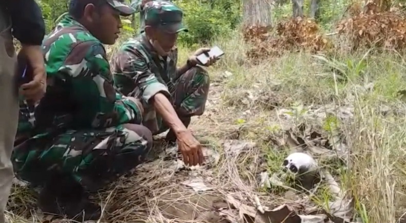 Petugas Temukan Tengkorak saat Patroli di Hutan Taman Nasional Baluran
