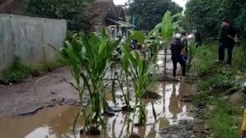 DPRD KBB Desak Perbaikan Jalan yang Ditanami Pohon Pisang Jadi Prioritas