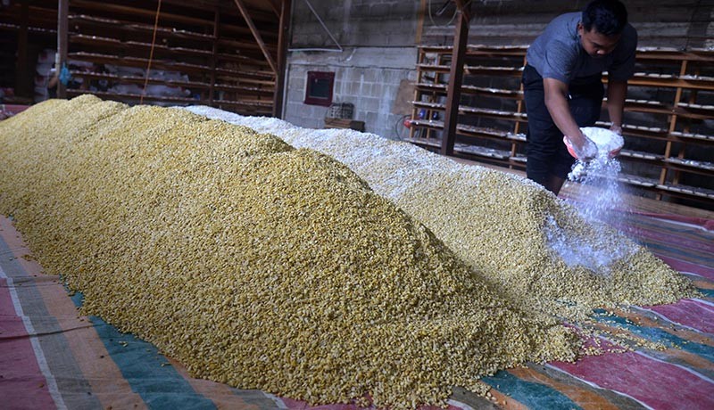 Harganya Masih Mahal, Pemerintah Akan Tambah Impor Kedelai Sebanyak 300.000 Ton
