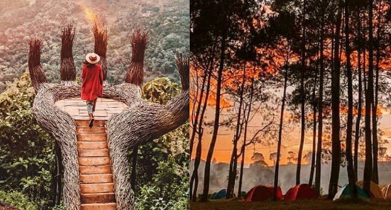 Yuk Intip Keindahan Hutan Pinus Pengger di Bantul, Wajib Dikunjungi saat Liburan ke Yogya!